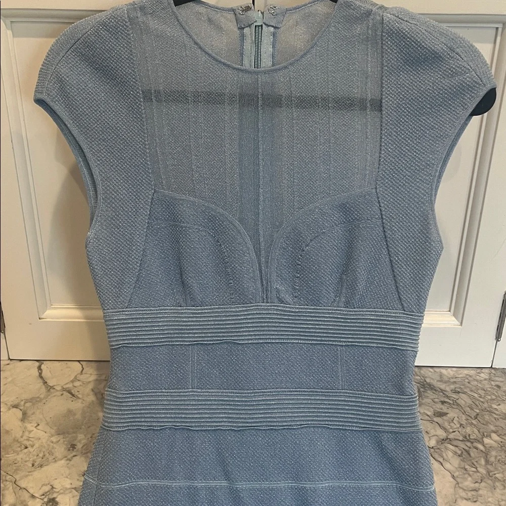 Herve Leger Sheer Bustier Gown - Picture 5 of 10